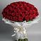 101 Красная роза Блэк Мэджик в Березниках Букет 101 Красная роза Блэк Мэджик в Березниках