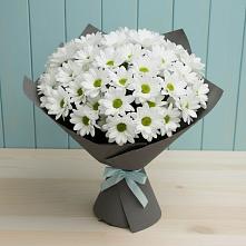Букет белые хризантемы в Березниках Букет цветов из:  Хризантемы в Березниках